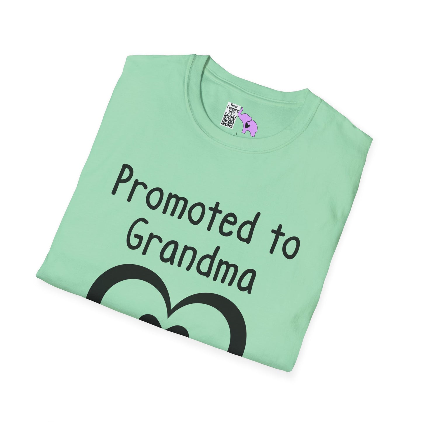 Promoted To Grandma 2027 Adult T-shirt
