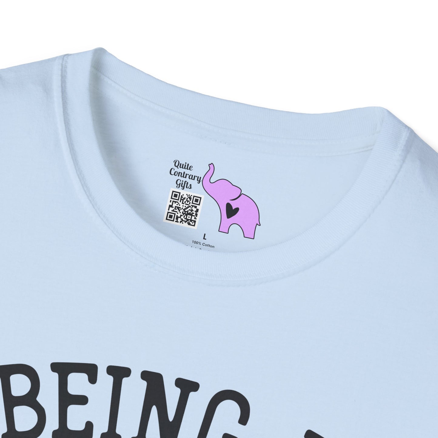 Being A Functional Adult Every Day Seems A Bit Excessive Adult T-shirt