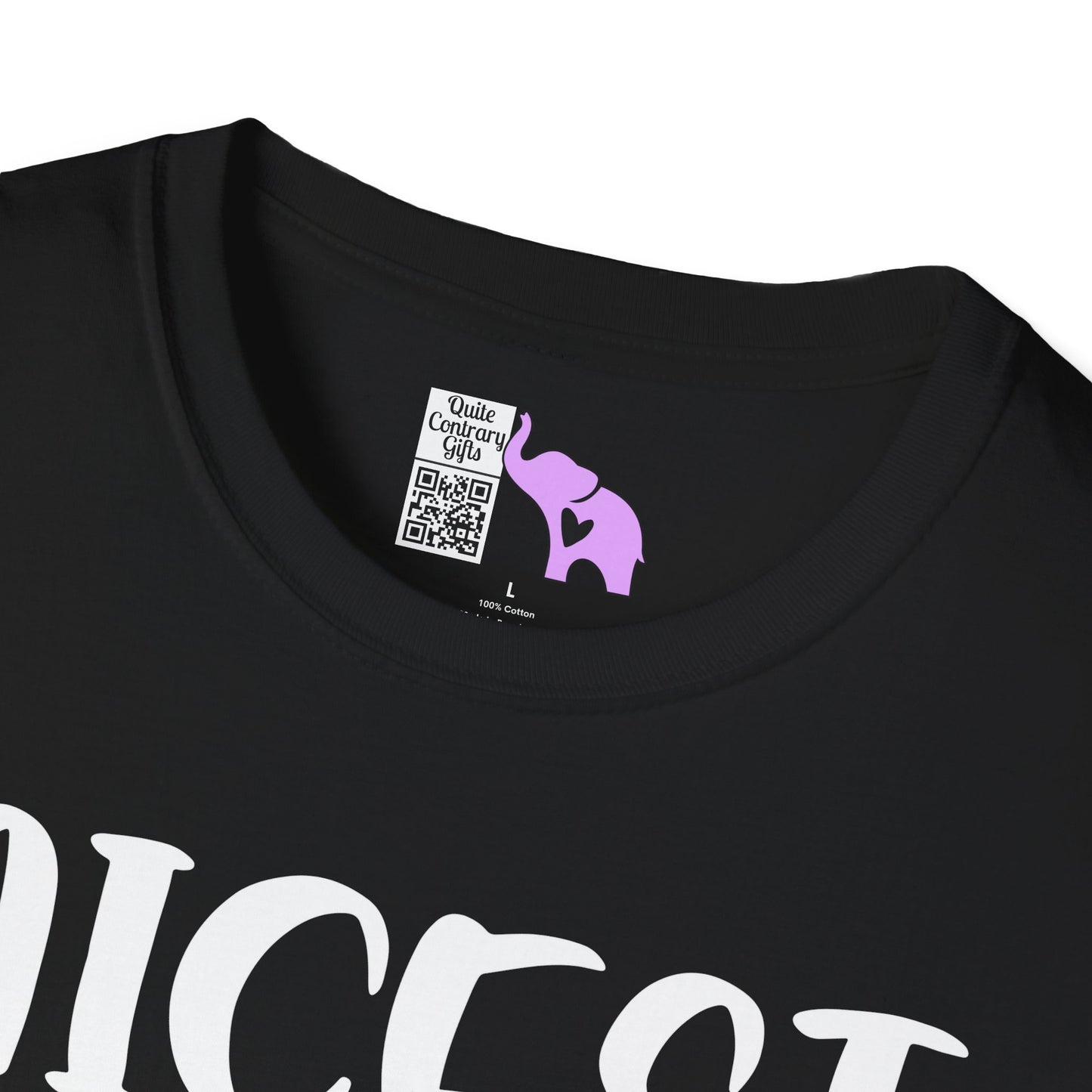 Nicest Mean Person Ever Adult T-shirt