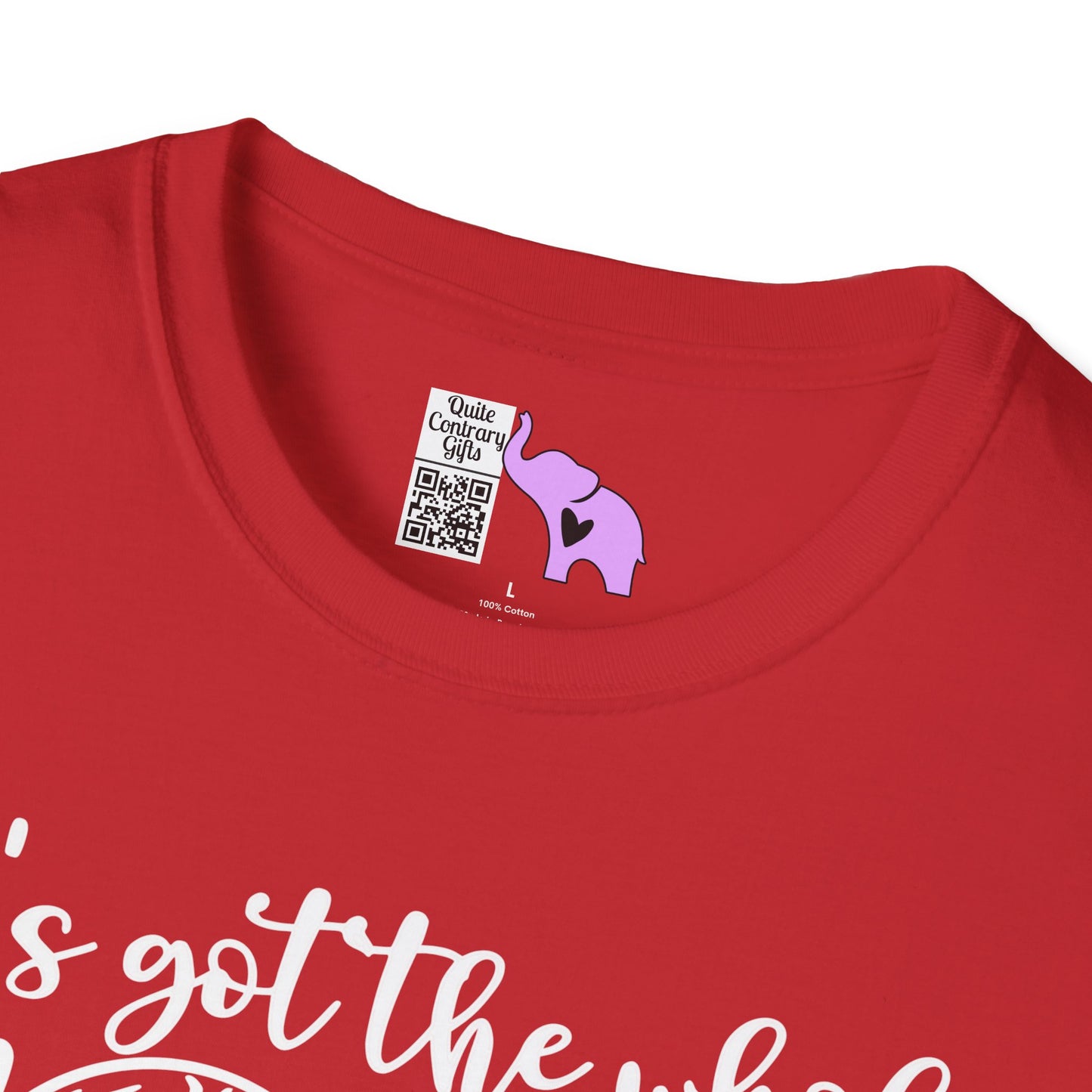 He's Got the Whole World in His Hands (2) Adult T-shirt