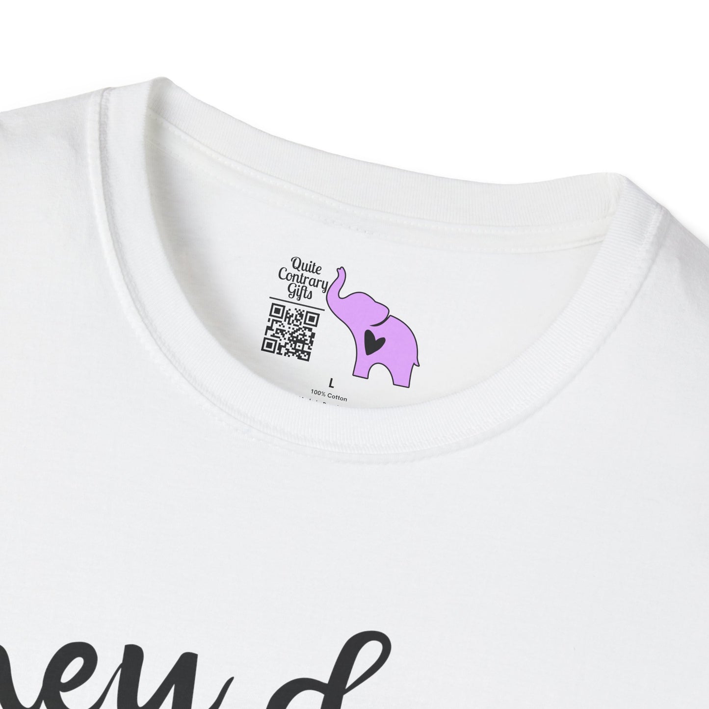 They Don't Pay Me Enough To Care Adult T-shirt