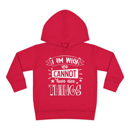 I Am Why We Cannot Have Nice Things Toddler Hoodie