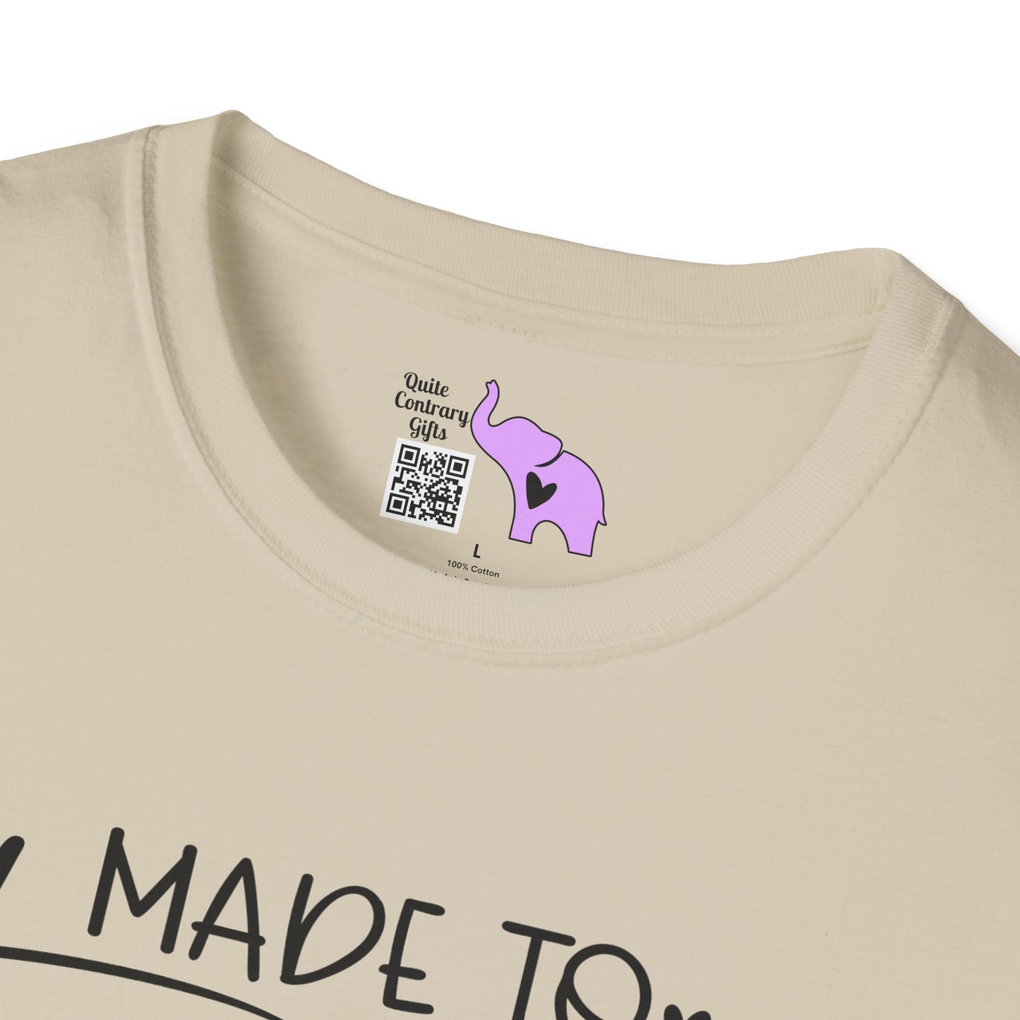 Made to Teach Rainbow Adult T-shirt