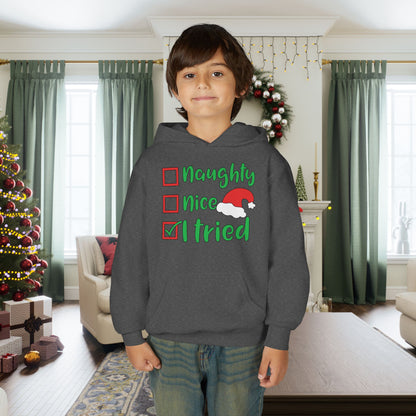 Naughty Nice I Tried Youth Hoodie