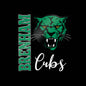 Brenham Vertical Fury, White Decal