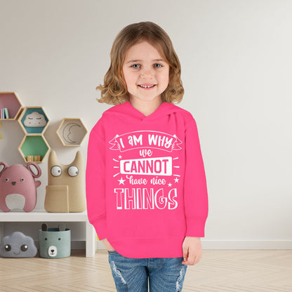 I Am Why We Cannot Have Nice Things Toddler Hoodie