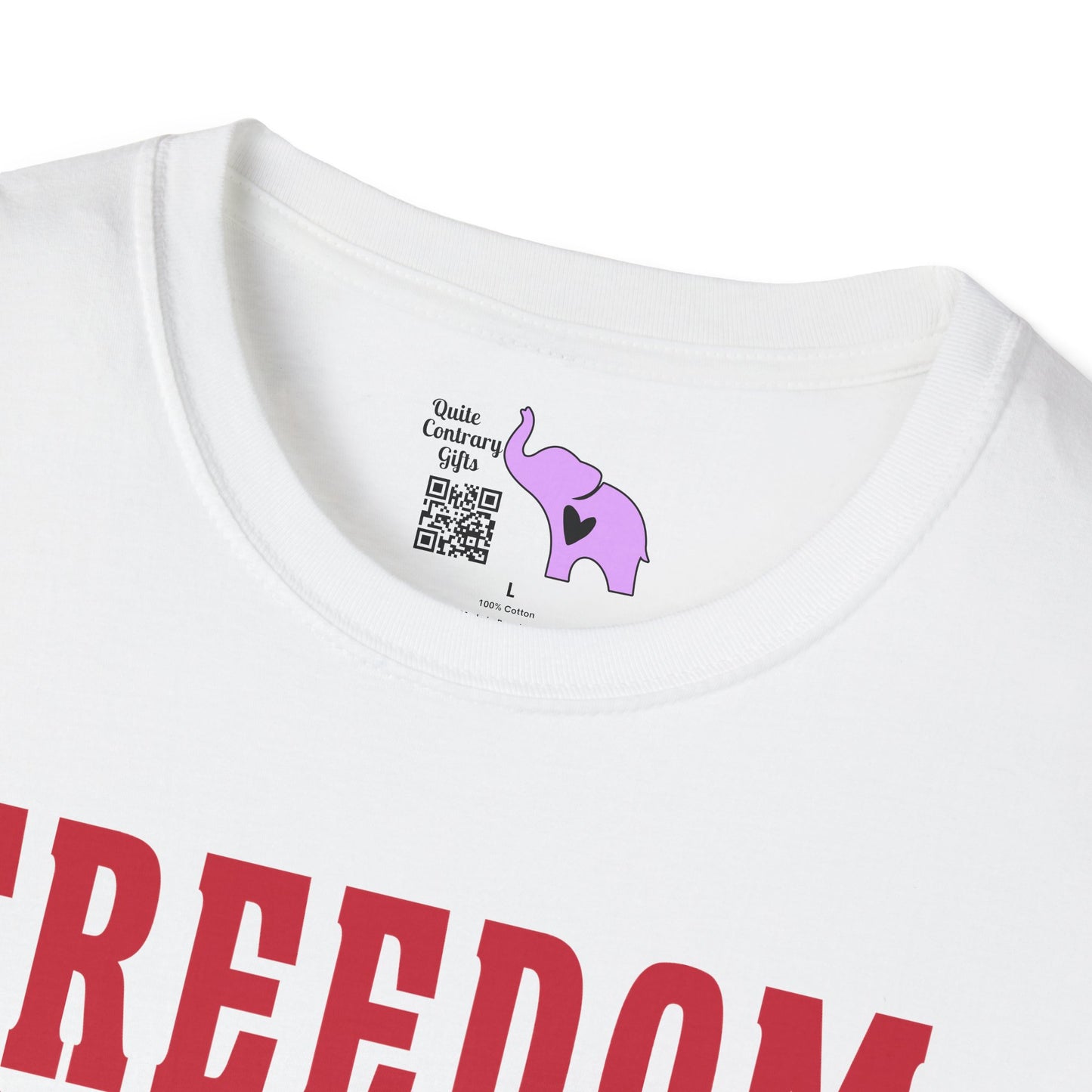 Freedom Family Faith Friends Fireworks 4th of July Adult T-shirt