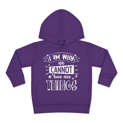 I Am Why We Cannot Have Nice Things Toddler Hoodie