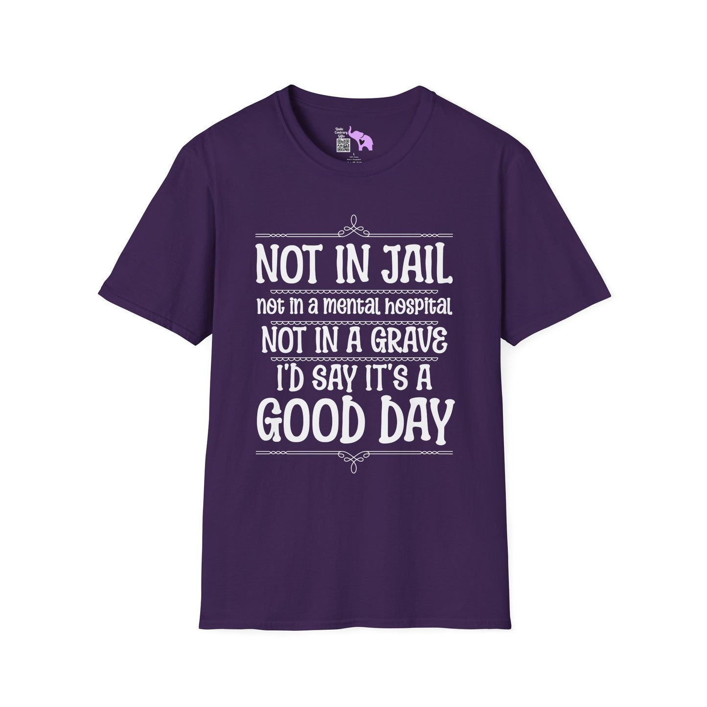 Not In A Jail/Mental Hospital/Dead I'd Say It's A Good Day Adult T-shirt