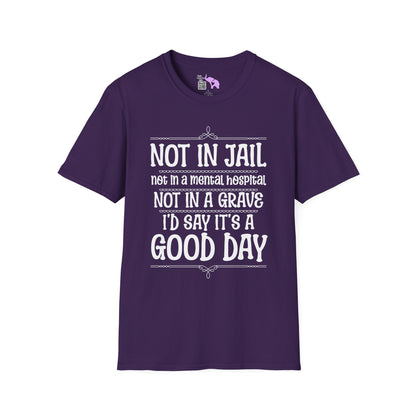 Not In A Jail/Mental Hospital/Dead I'd Say It's A Good Day Adult T-shirt