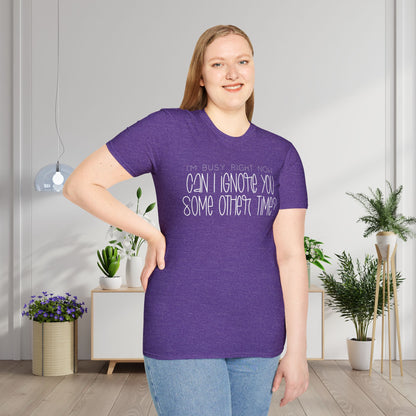 I'm Busy Right Now Can I Ignore You Some Other Time Adult T-shirt
