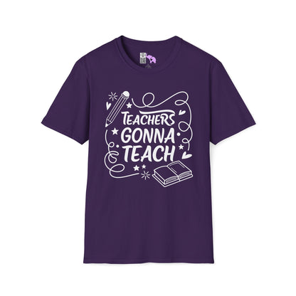 Teachers Gonna Teach Adult T-shirt