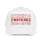 Panthers (Stacked) Mid Profile Baseball Cap
