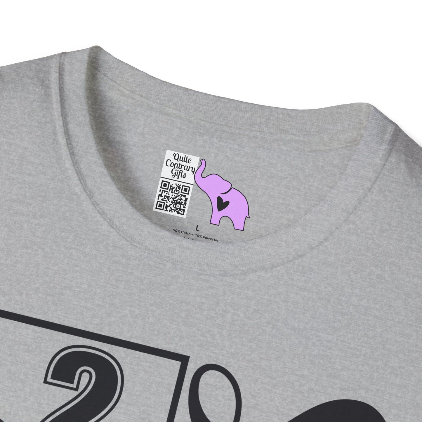 Vertical Class of 2027 Senior Adult T-shirt