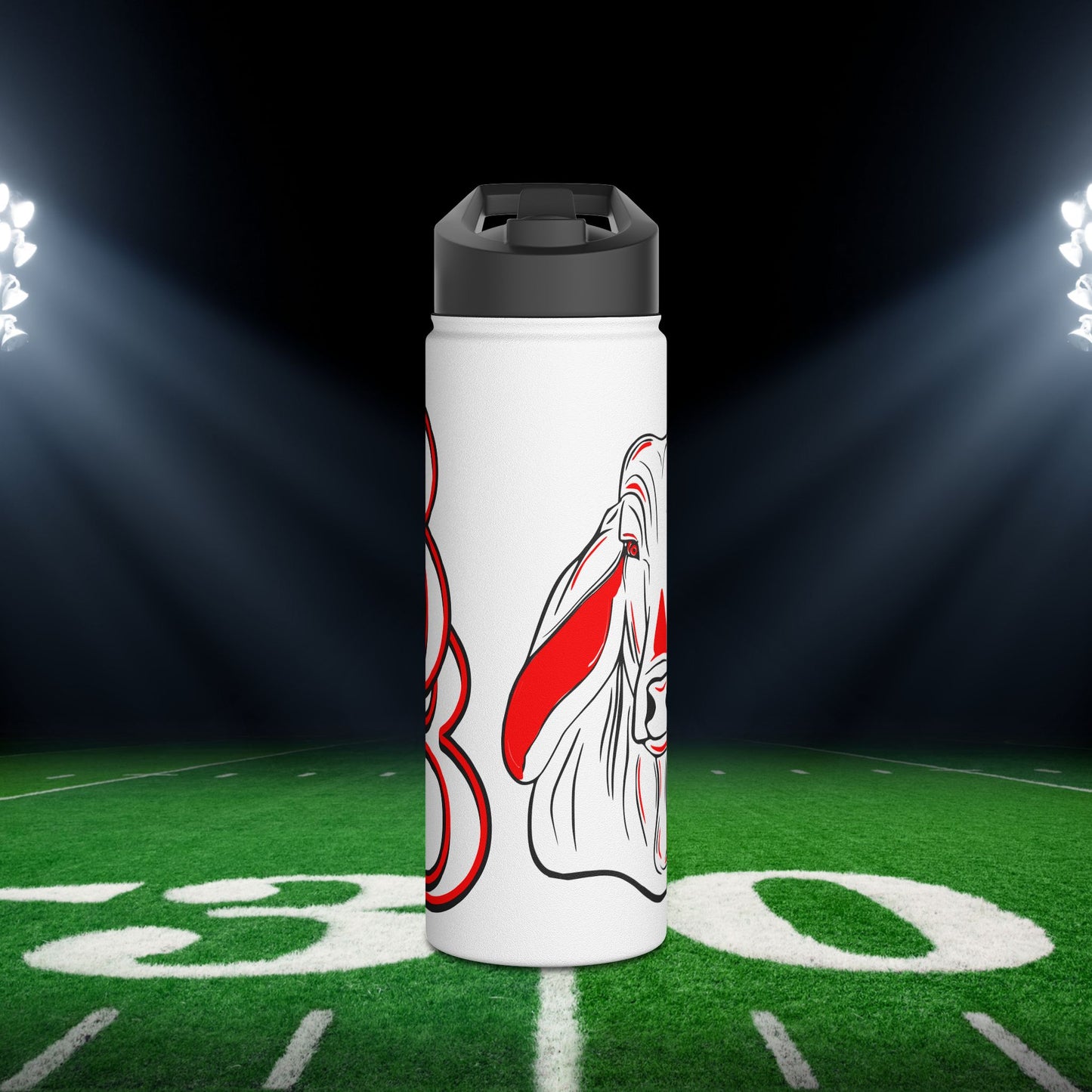 Bellville Brahmas Stainless Steel Water Bottle