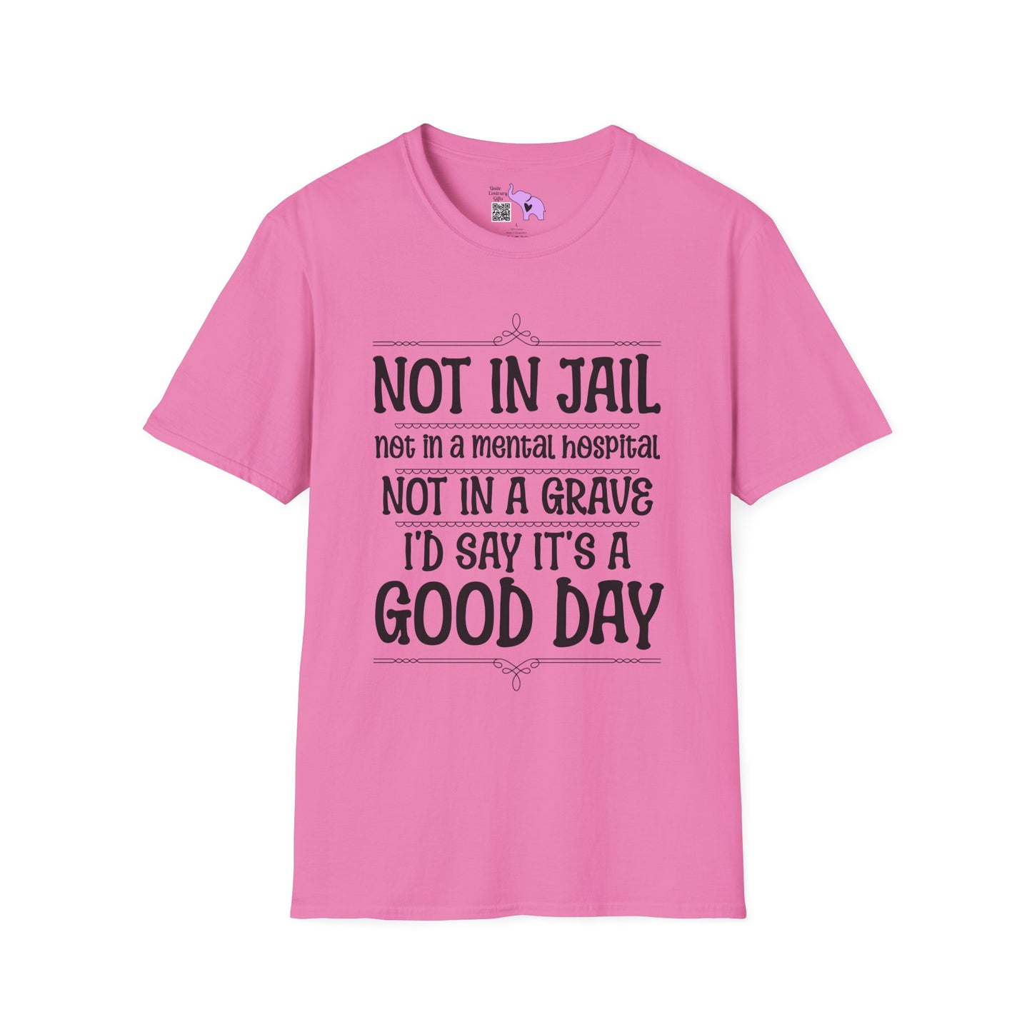 Not In A Jail/Mental Hospital/Dead I'd Say It's A Good Day Adult T-shirt