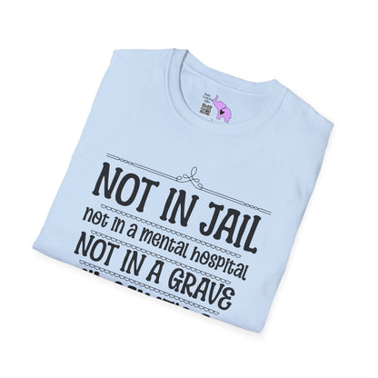 Not In A Jail/Mental Hospital/Dead I'd Say It's A Good Day Adult T-shirt