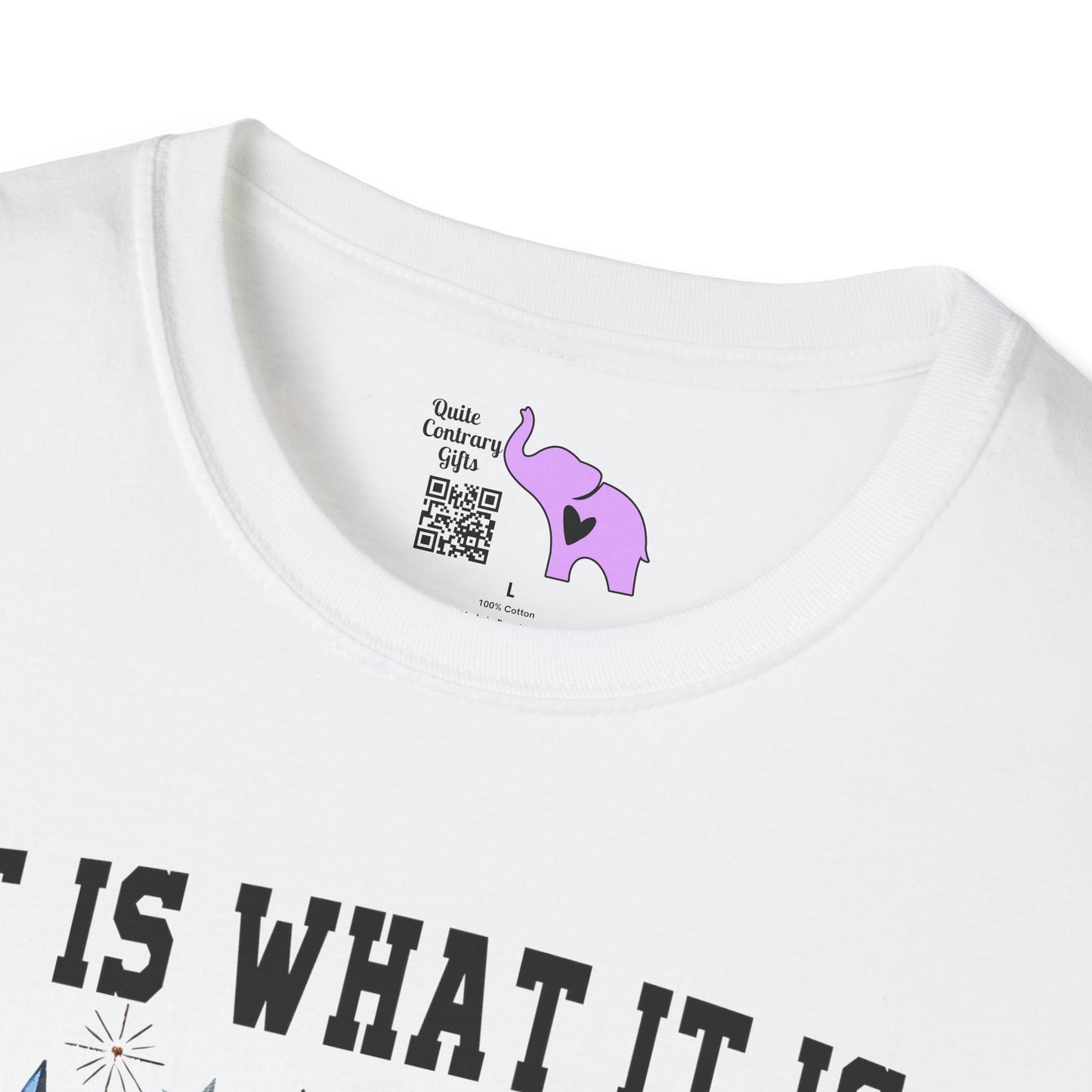 It Is What It Is And It's Not Great Racoon (2) Adult T-shirt