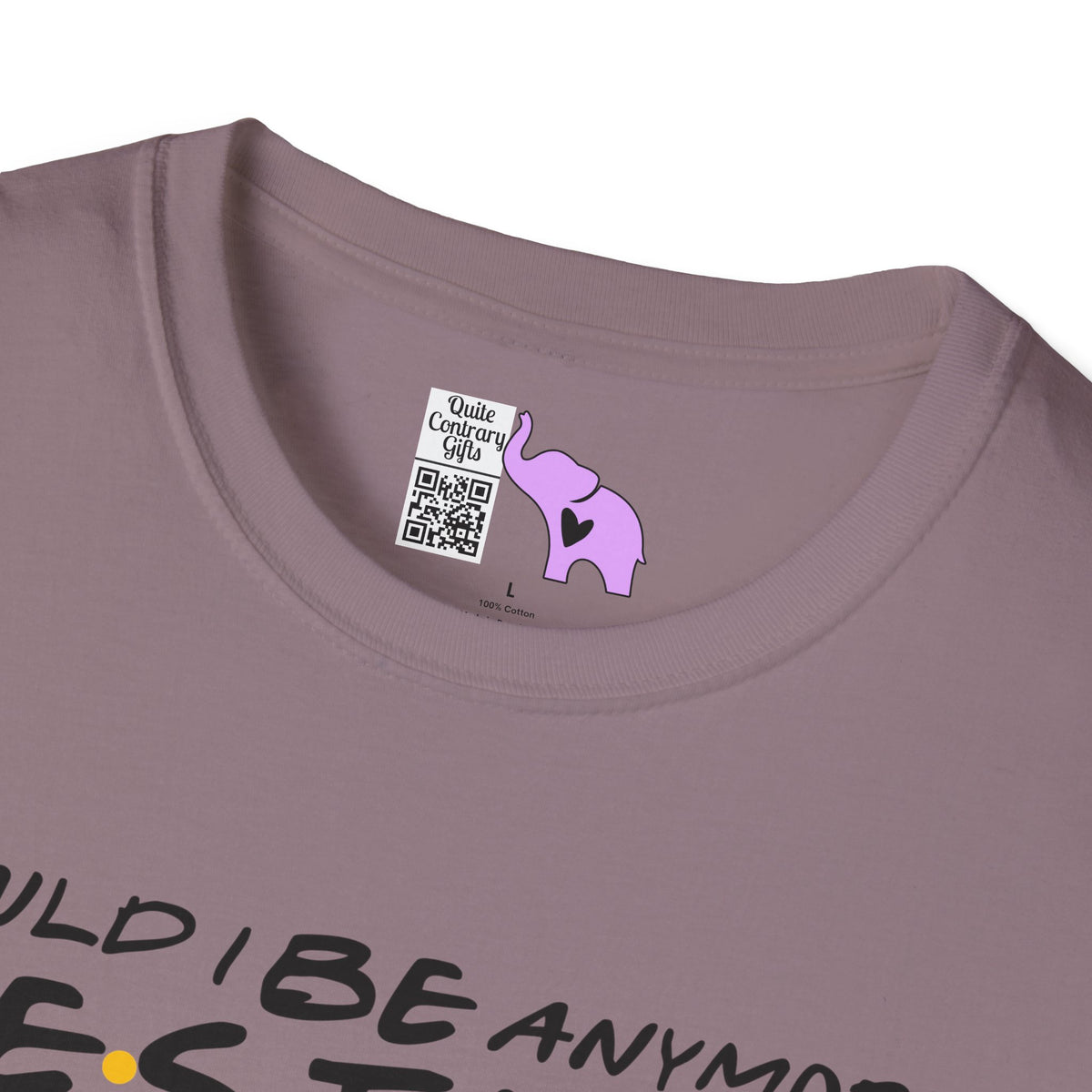 Could I BE Anymore Festive? (Friends, Phoebe's Christmas Song) Adult T-shirt