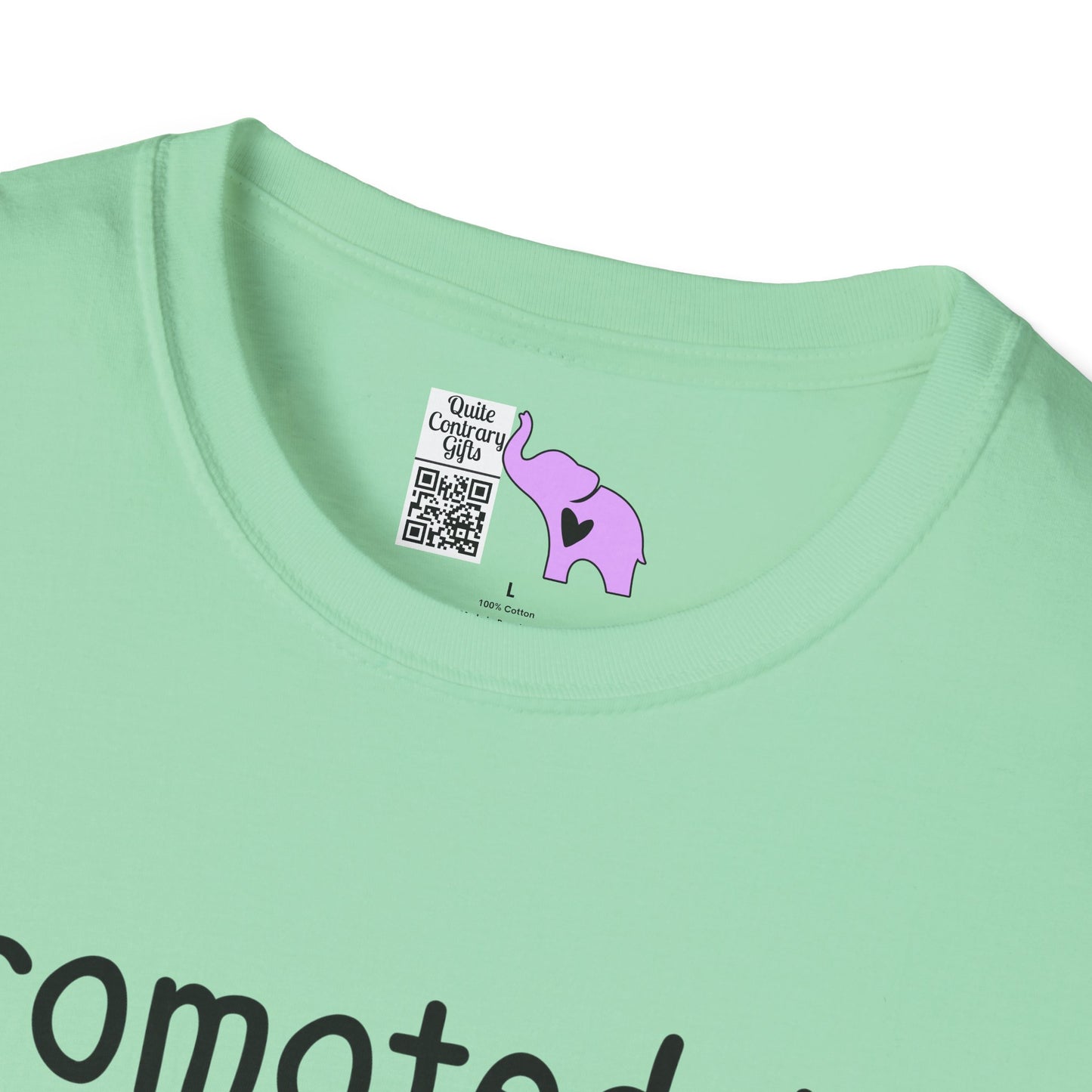 Promoted To Grandma 2026 Adult T-shirt