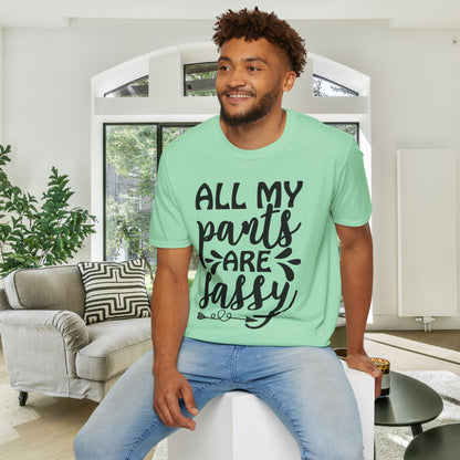 All My Pants Are Sassy T-shirt