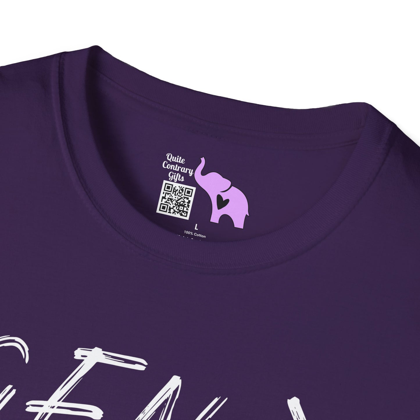 Gen X Vintage Chaos, Undocumented Adult T-shirt