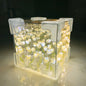 Mirror Cube Tulip Light Box