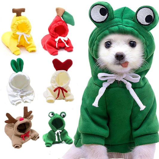 Cute Fruit Hoodies for Small Dogs