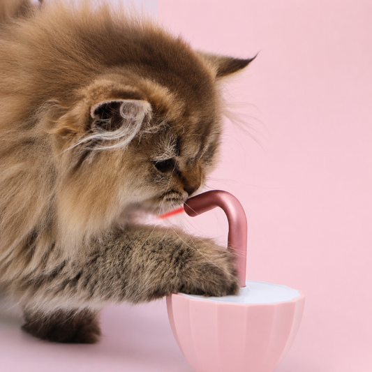 Interactive Tumbler Laser Cat Toy – Motion-Activated Automatic Teaser
