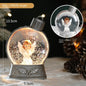 Flat Light Up Snow Globe