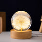 Flower Crystal Ball Night Lamp With Wooden Base