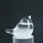 Cute Weather Forecast Mini Bird Storming Bottle Glass