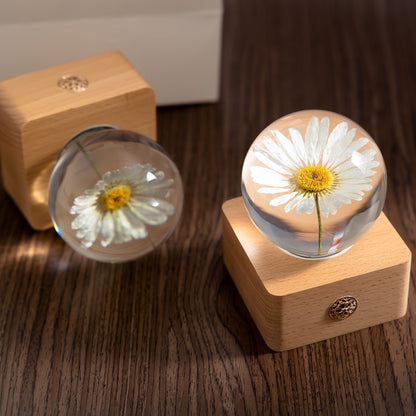 Beautiful Dandelion Globe Lamp