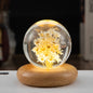 Flower Crystal Ball Night Lamp With Wooden Base