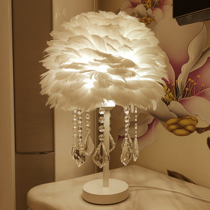 Decorative Feather Lamp w/Crystals