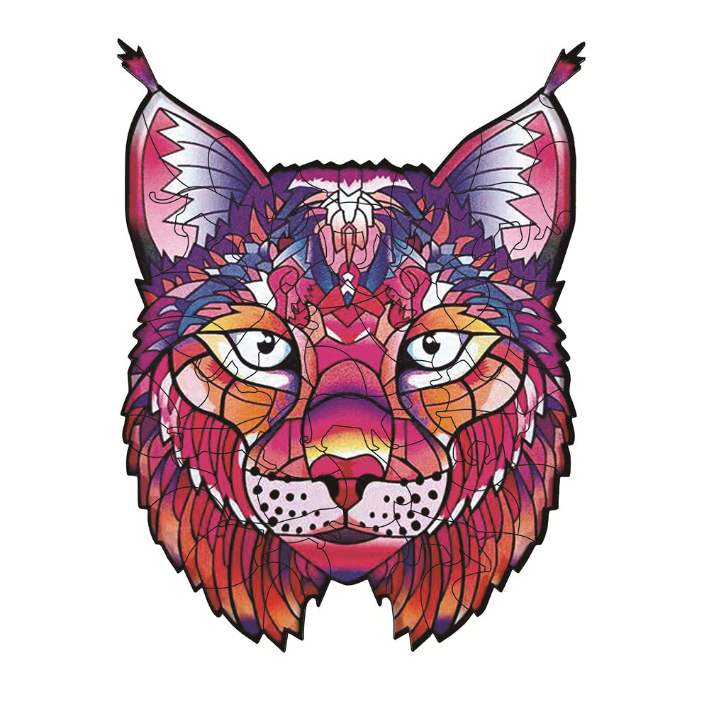 Vibrant Wooden Puzzle Collection