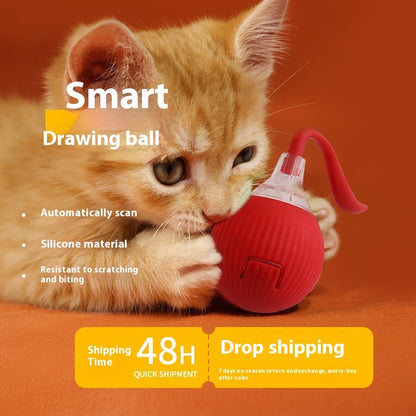 Interactive Rechargeable Cat/Dog Toy Ball