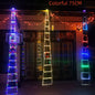 North Pole Ladder Lights